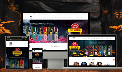 Top Web development services in Wazirpur